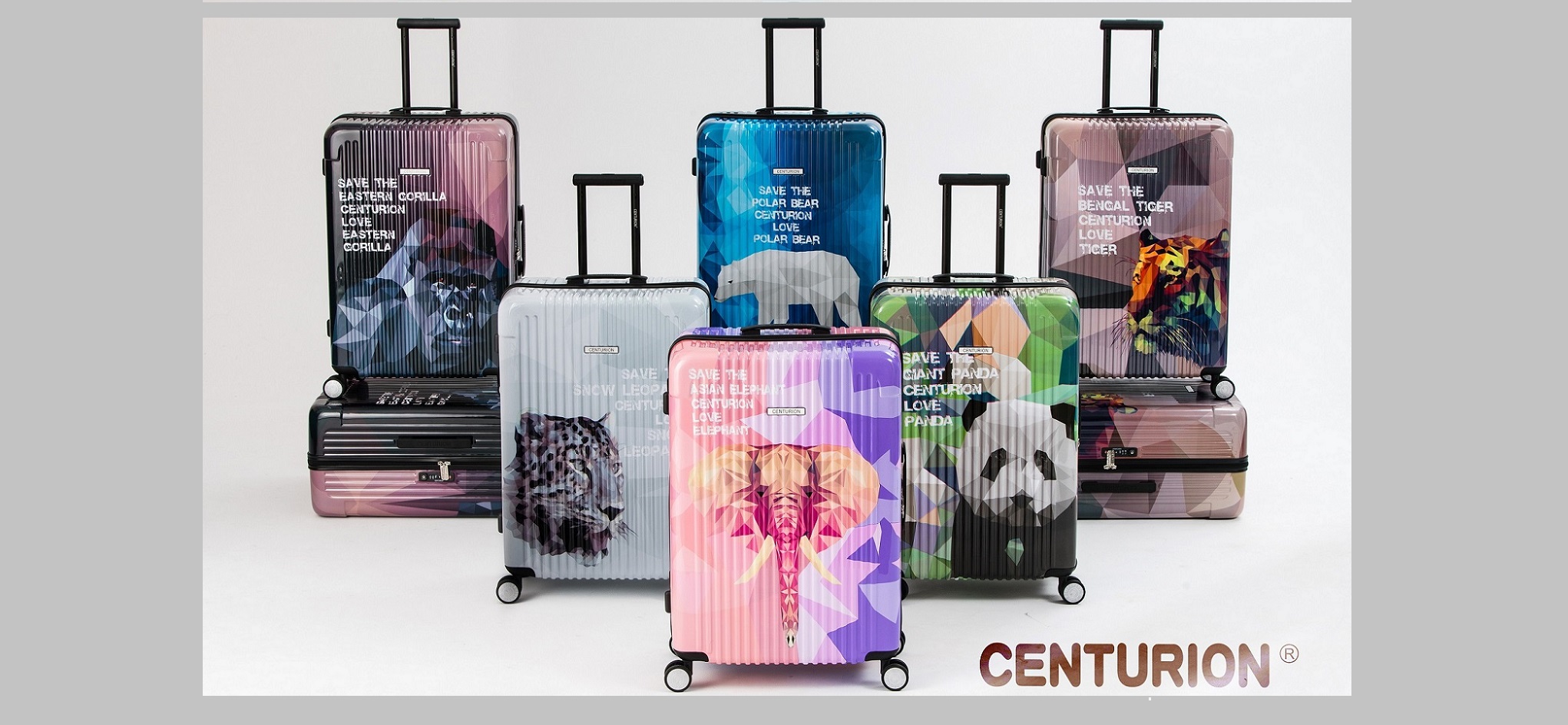 centurion luggage